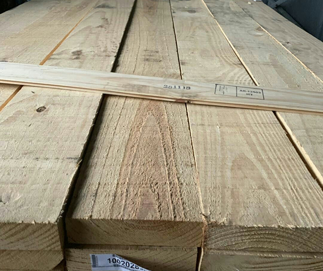容县阿根廷松木